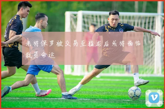 老将保罗被交易至猛龙后或将面临裁员命运